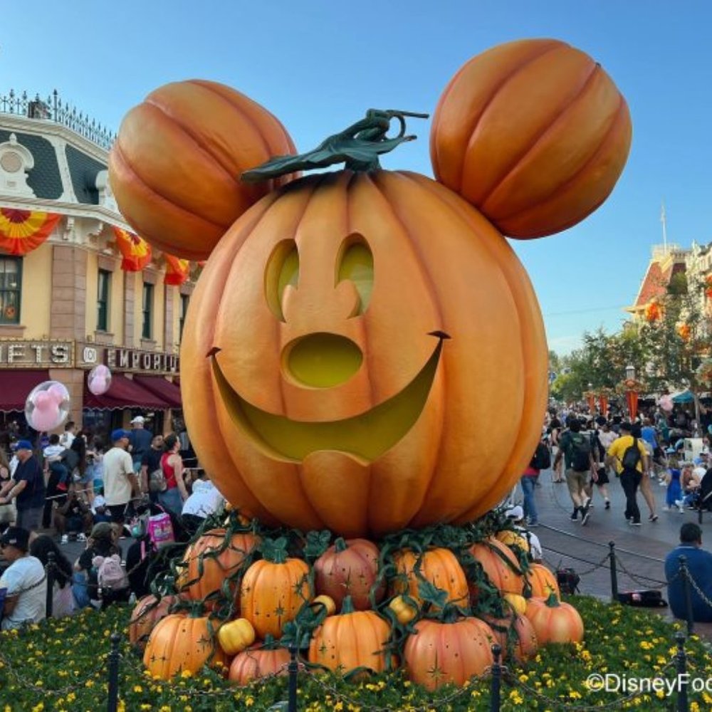 Disney Share Shows